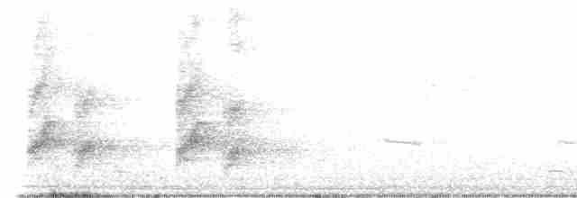 Kırmızı Gagalı Saksağan - ML616361674