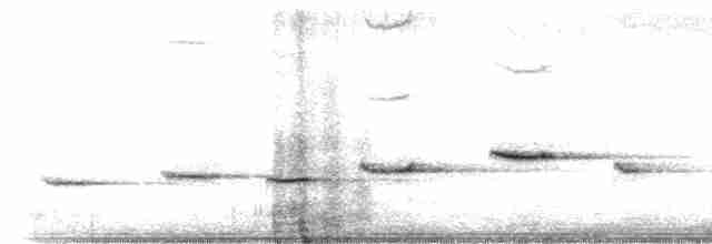 Bülbül Sesli Çıtkuşu - ML616361861