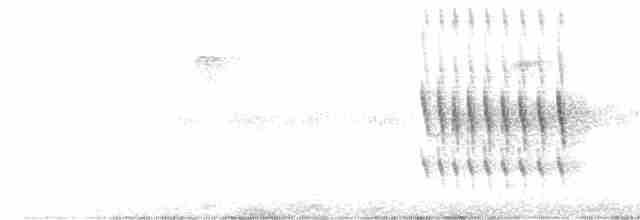 Mérulaxe argenté - ML616361971