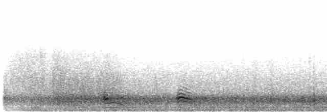 Сова плямиста - ML616362417
