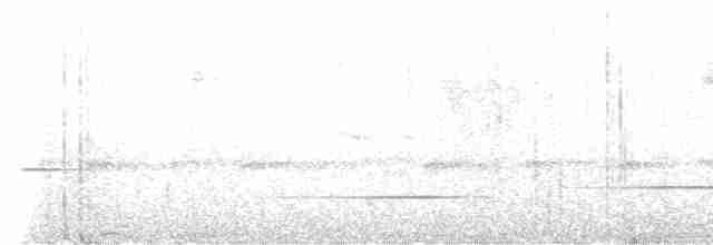Тріскопліт андійський - ML616363106
