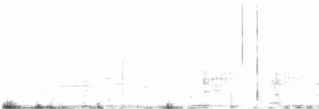 antarktisslirenebb - ML616363401