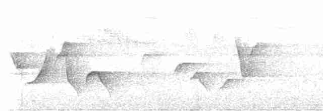 Çilli Göğüslü Çıtkuşu (columbianus) - ML616363596