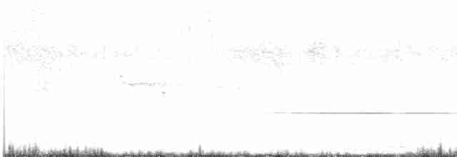 Solitaire siffleur - ML616363910