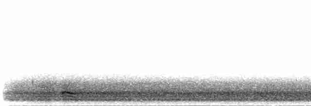 Сова плямиста - ML616364949