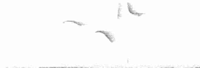 Kahverengi Tepeli Çalı Serçesi - ML616365054