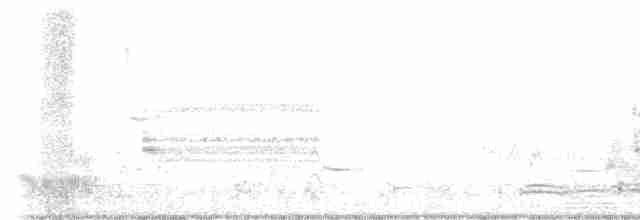 Бонапартова чайка - ML616365104