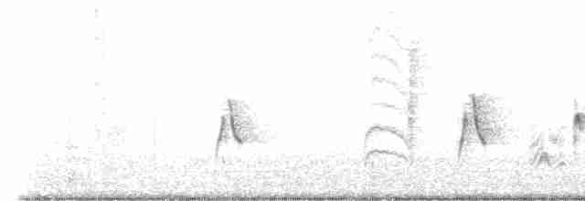 Vireo Ojiblanco - ML616366318