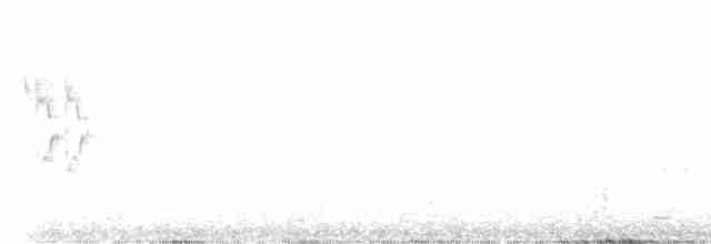 Rostscheitelammer - ML616366901