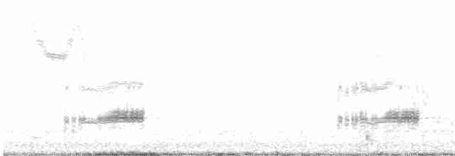 Western Grebe - ML616367740