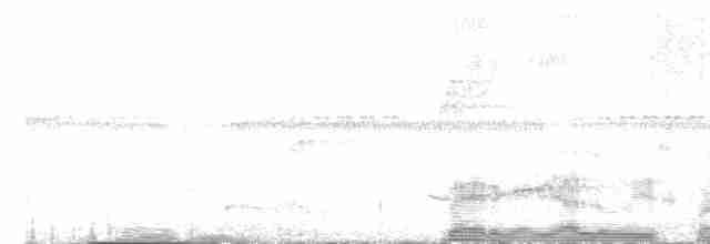Корайский крапивник - ML616367772
