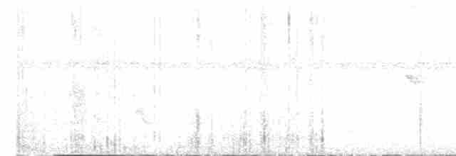 Weißbrust-Ameisenwürger - ML616368263
