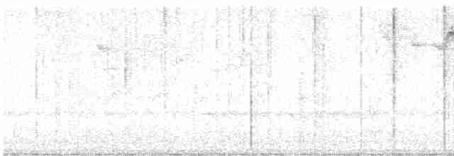 lesňáček černobílý - ML616369376