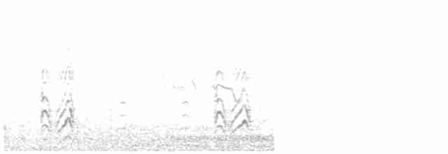 Gull-billed Tern - ML616371993