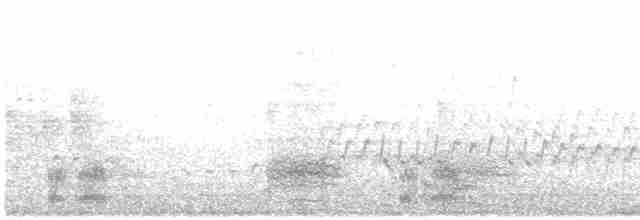 Фламінго рожевокрилий - ML616372003