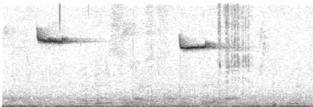 Pygmy Cupwing - ML616374424