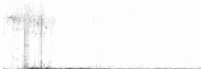 Troglodyte de Baird - ML616377162