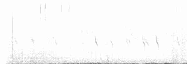 "Шишкар ялиновий (Appalachian, або тип 1)" - ML616380356