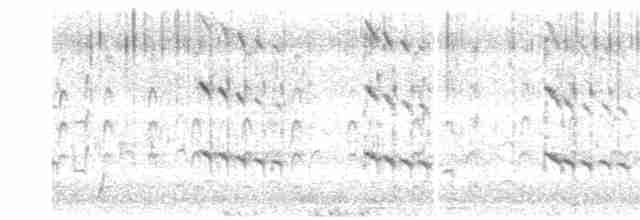 Alción de Esmirna - ML616381581