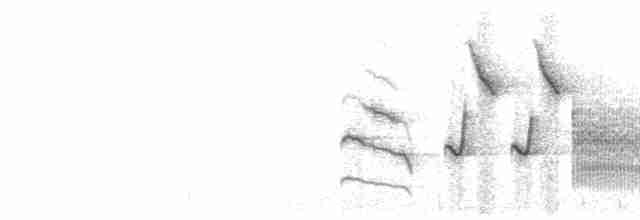 Troglodyte de Zapata - ML616382528
