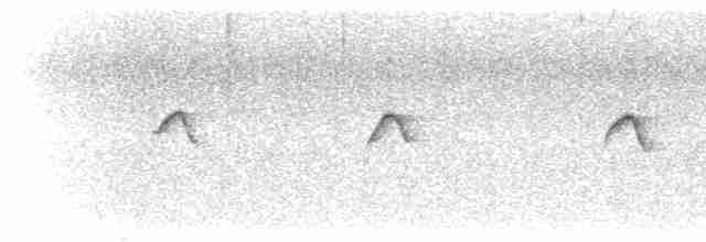 Common Chiffchaff (Common) - ML616382736