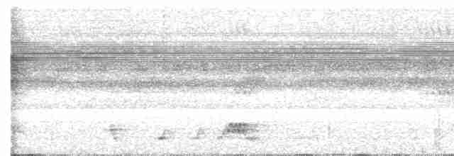 Rostnachtschwalbe - ML616384484