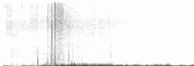Каньонный крапивник - ML616384806