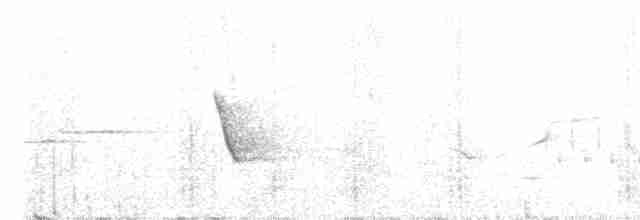 Hawaii-Sichelkleidervogel - ML616384958