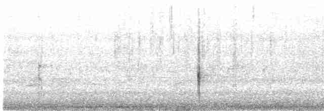 vlhovec červenokřídlý [skupina phoeniceus] - ML616385024