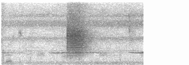 hvitskjeggmanakin - ML616385296