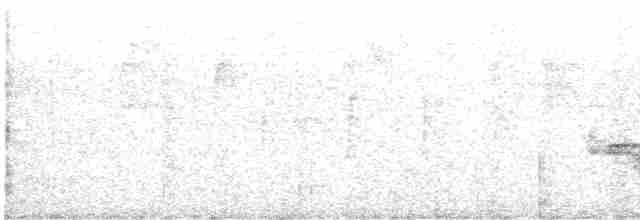 Black-crested Warbler - ML616385477