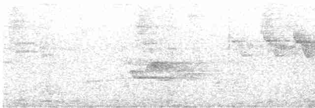 Candelita Plomiza - ML616385482