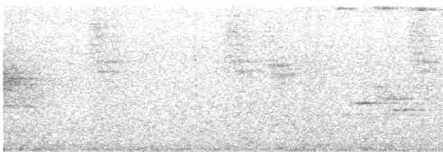Оливковый тираннчик - ML616385543