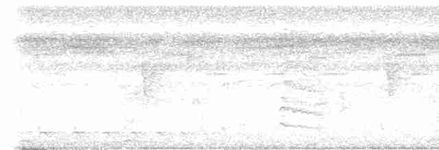 Nacktstirn-Ameisenvogel - ML616388342