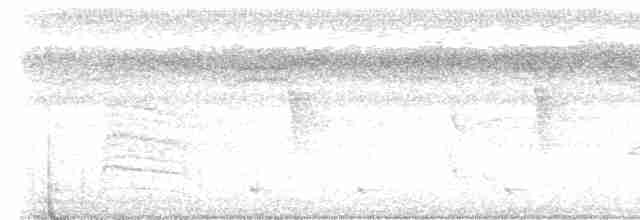 Çıplak Alınlı Karıncakuşu - ML616388343