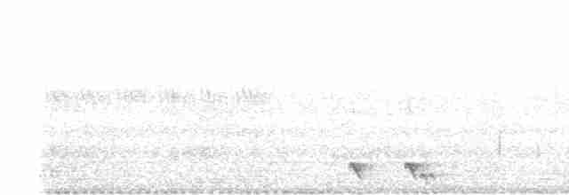 Philippine Nightjar - ML616392794