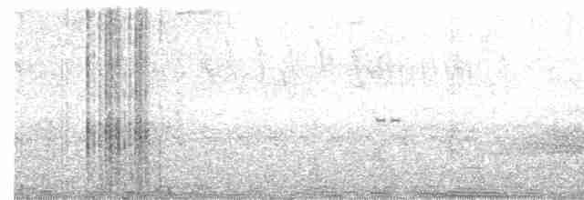 Гребенечуб андійський - ML616392824