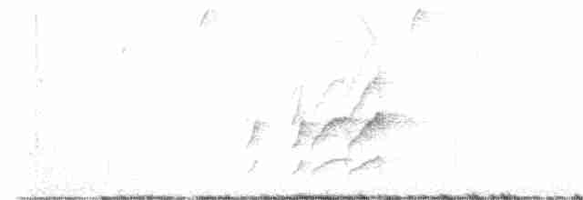 fjellstifthale - ML616393230