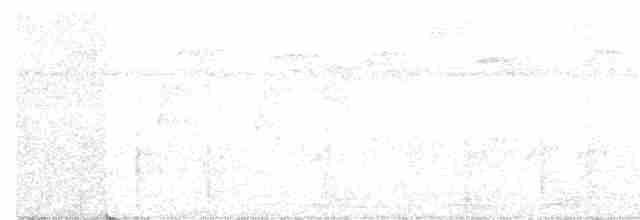 Black-crowned Antshrike - ML616394018