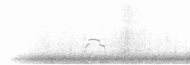 Eurasian Oystercatcher - ML616394035