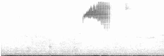 kolibřík hyacintový - ML616394637