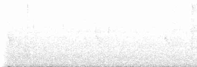 Свистун сундайський (підвид teysmanni) - ML616395010