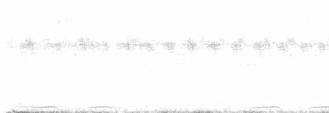 holub černošíjný - ML616395429