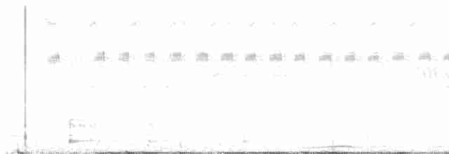 holub černošíjný - ML616395430