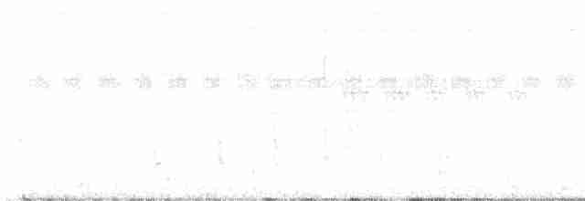 Drongo à crinière (leucops/banggaiensis) - ML616395476