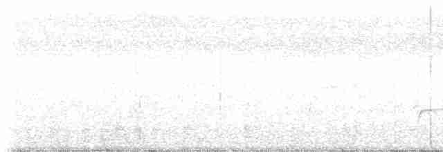 sundaplystrer (teysmanni) - ML616395727
