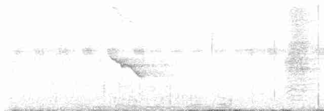 Drongo à crinière (leucops/banggaiensis) - ML616395760
