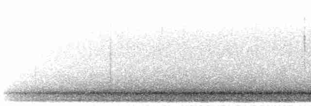 Сова плямиста - ML616395861