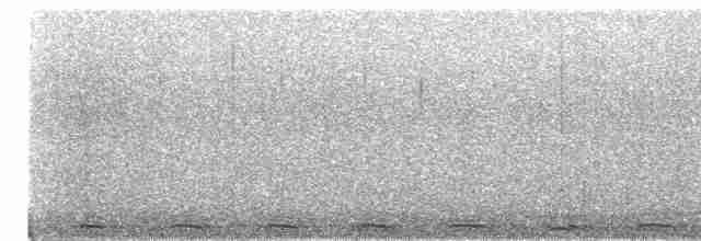 Сова плямиста - ML616396125