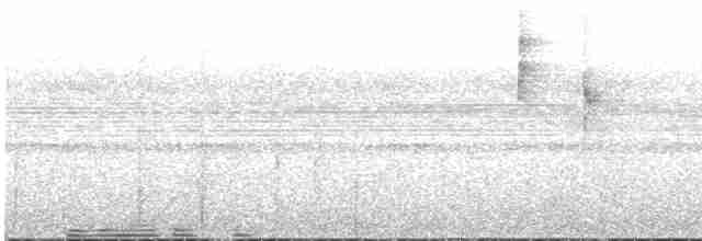 Three-striped Warbler (daedalus) - ML616397189